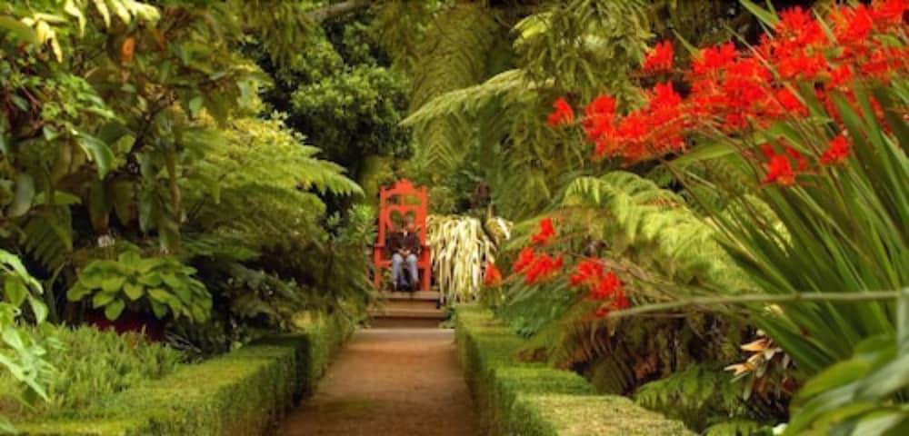Willa Camp Estate By Larnach Castle Dunedin Zewnętrze zdjęcie
