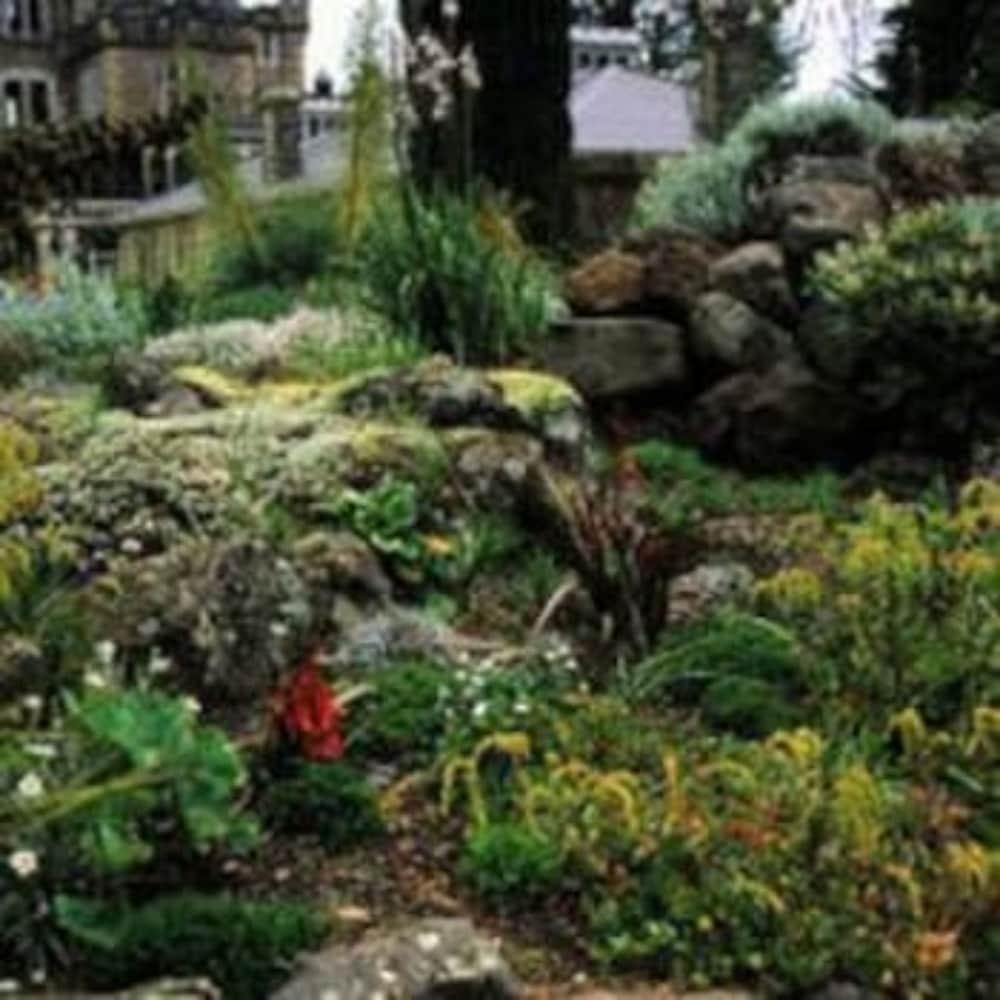 Willa Camp Estate By Larnach Castle Dunedin Zewnętrze zdjęcie